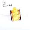 Resin Claw Hair Clips PW-WG09141-02-1