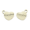 Tibetan Style Alloy Pendants TIBEP-5408-AS-FF-1