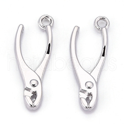 Alloy Pendants X1-PALLOY-N176-120P-1