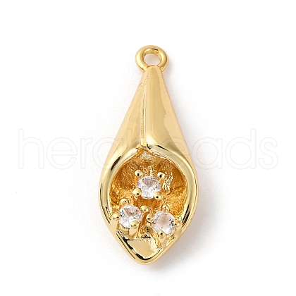 Brass Pave Clear Cubic Zirconia Pendants KK-V016-07G-1