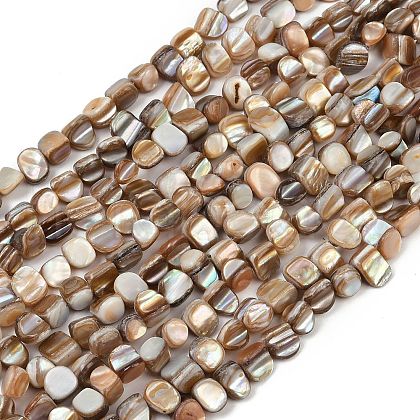 Natural Trochus Shell Beads Strands BSHE-Q050-01B-1