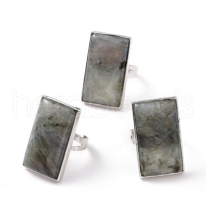 Adjustable Rectangle Natural Labradorite Brass Rings RJEW-N024-01A-1