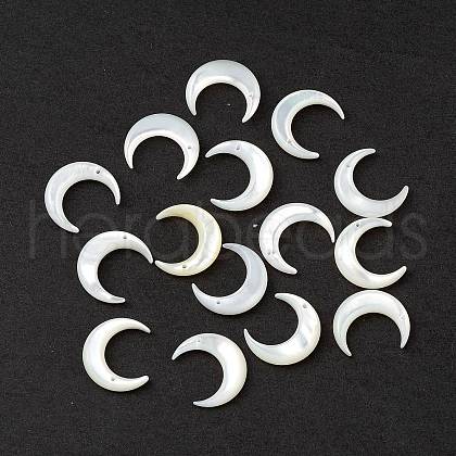 Natural White Shell Beads SSHEL-M021-14-1