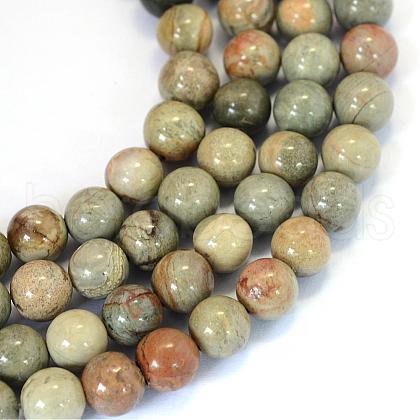 Natural Silver Leaf Jasper Round Bead Strands G-E334-6mm-04-1